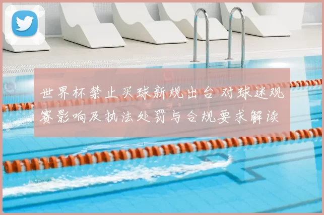 世界杯禁止买球新规出台 对球迷观赛影响及执法处罚与合规要求解读