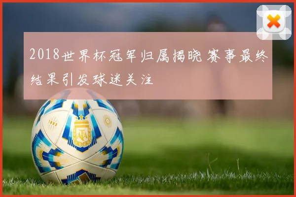 2018世界杯冠军归属揭晓 赛事最终结果引发球迷关注