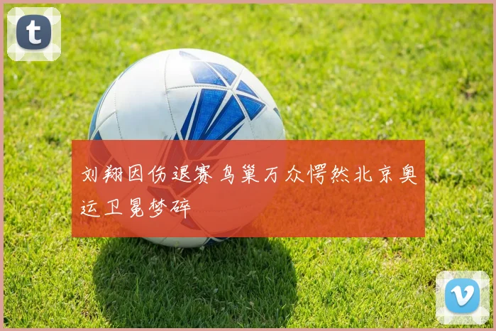 刘翔因伤退赛鸟巢万众愕然北京奥运卫冕梦碎