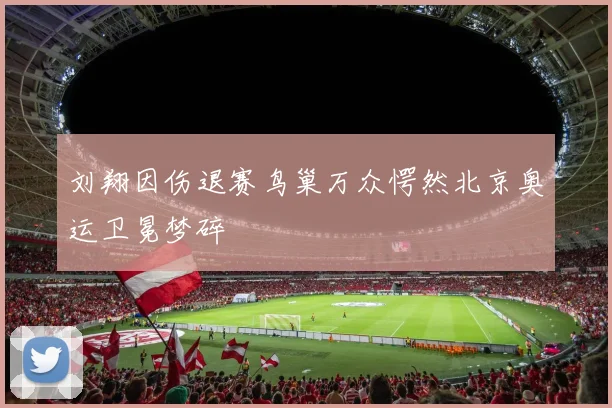 刘翔因伤退赛鸟巢万众愕然北京奥运卫冕梦碎