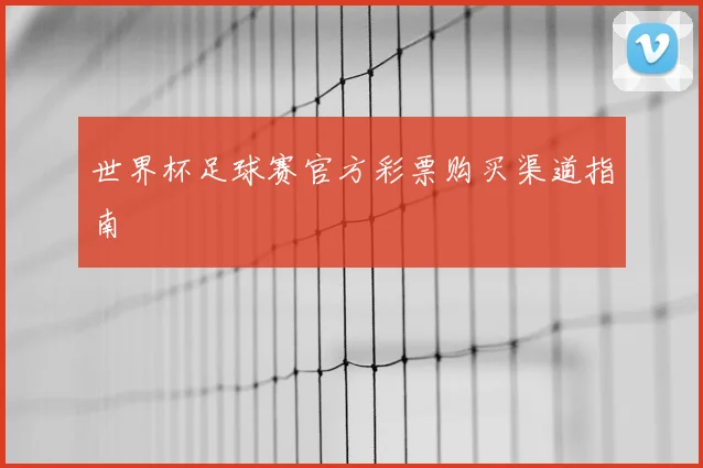 世界杯足球赛官方彩票购买渠道指南