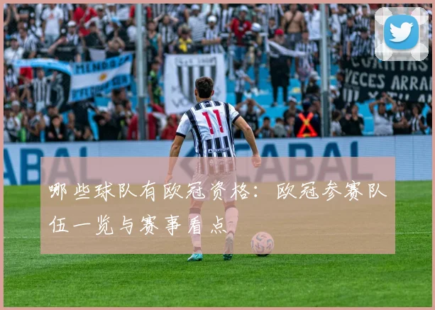 哪些球队有欧冠资格:欧冠参赛队伍一览与赛事看点