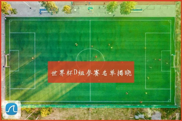 世界杯D组参赛名单揭晓