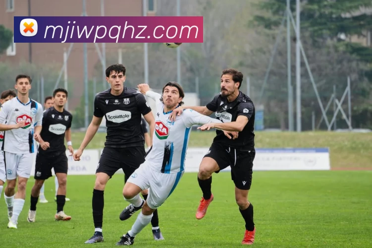 世界杯在线观看官网(中国)登录入口服务体系